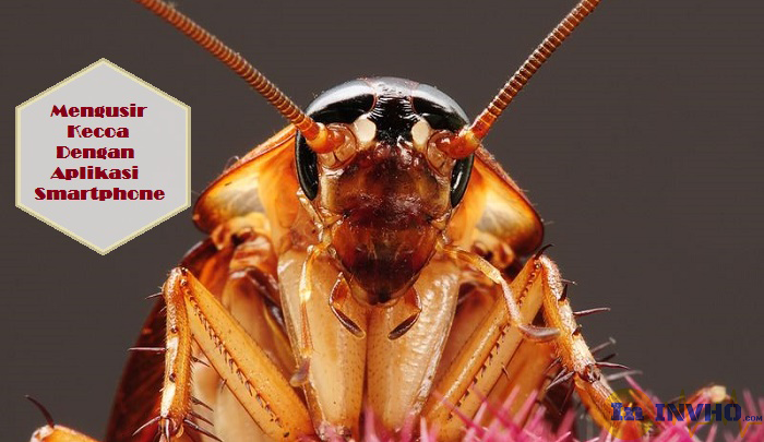 Mengusir Kecoa Dengan Aplikasi Smartphone